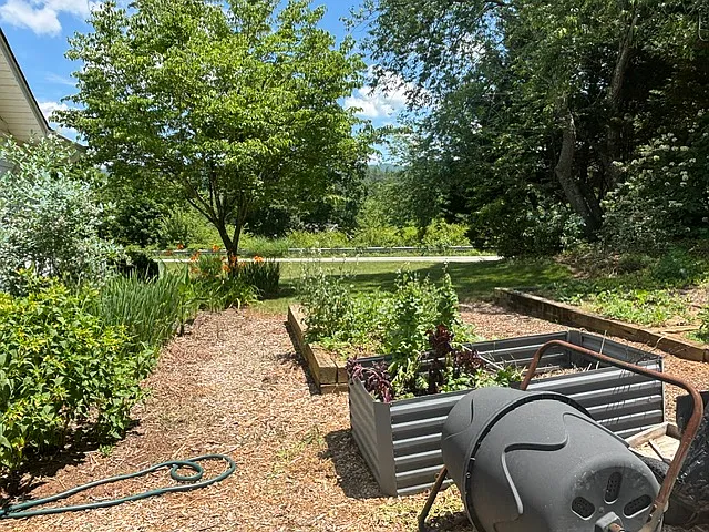 142 Reems Creek Rd — Photo 42