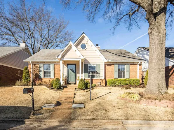 1649 Barbie St, Cordova, TN 38016