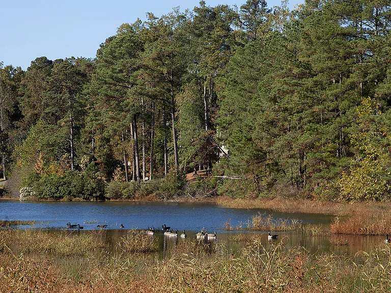 Discover the beauty of waterfront living in our apartment community