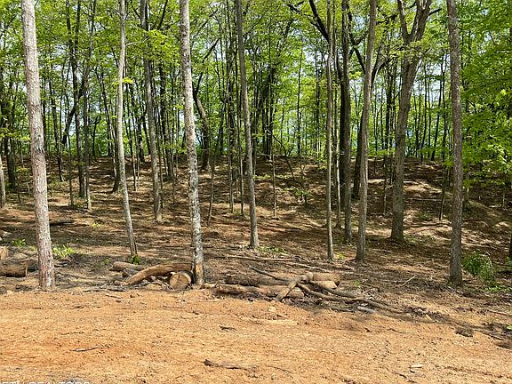 3rd image of 150 Timber Oaks Ln