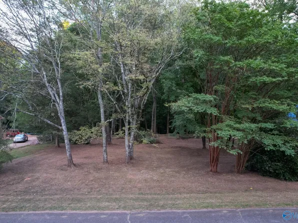 6 Sulphur Creek Dr, Elkmont, AL 35620