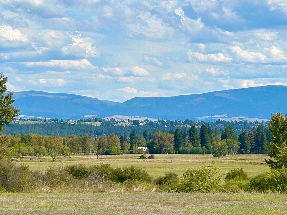 Nhn Wildlife Way, Florence, MT 59833 Zillow