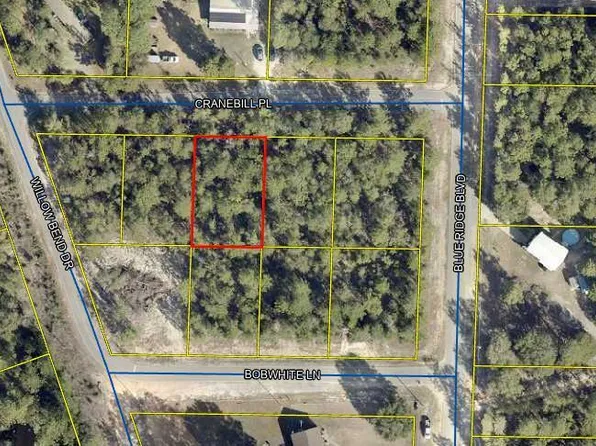 3 Cranebill Pl, Defuniak Springs, FL 32433