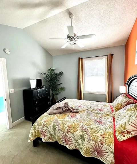 Hibiscus Dr — Photo 46