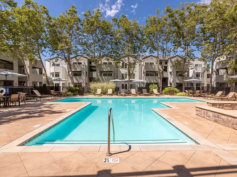 Pool and sundeck