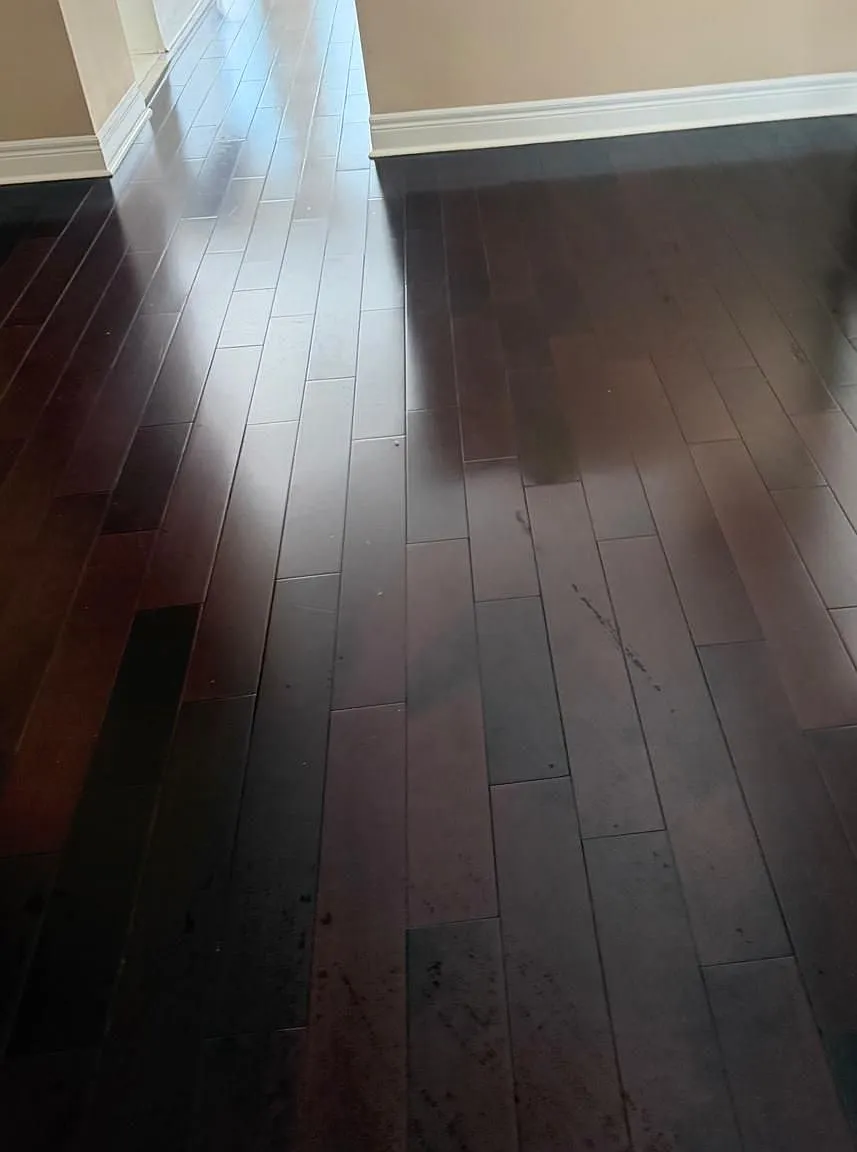 3 bed, $3,550 — Photo 4