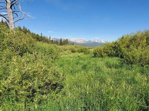 00 Fisher Creek Rd, Stanley, ID 83278