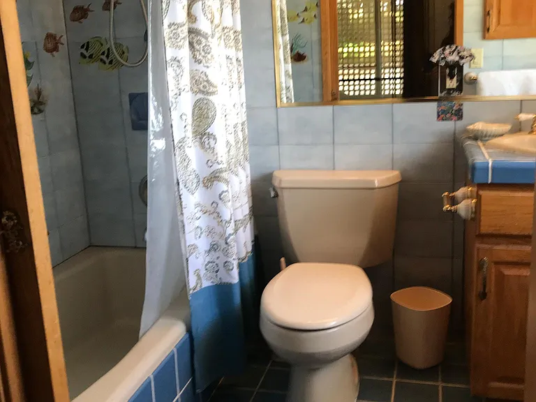 3127 Nahenahe Pl — Photo 15