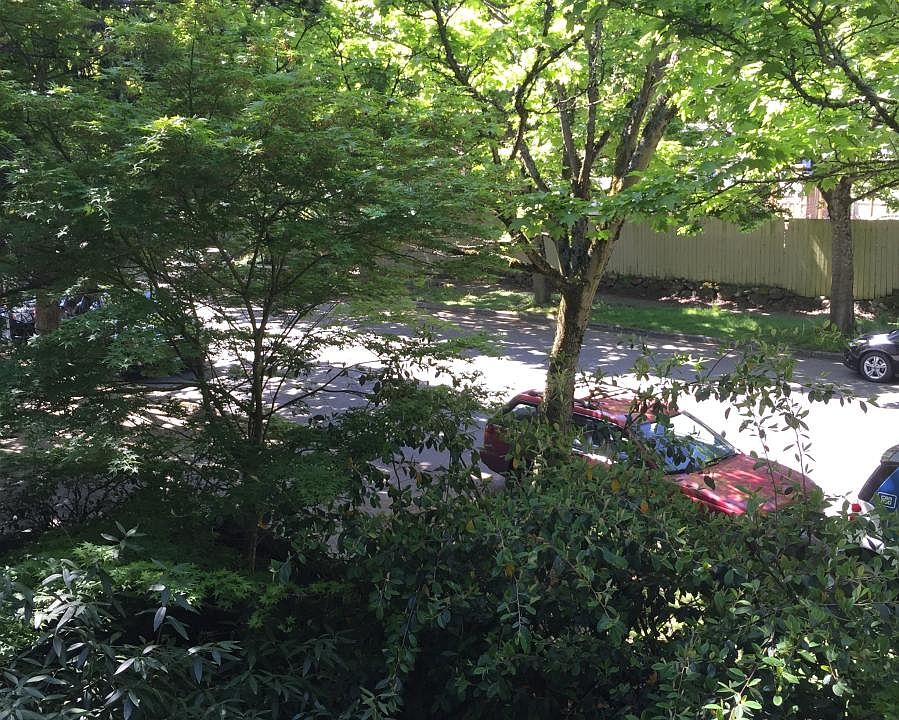 View From Deck