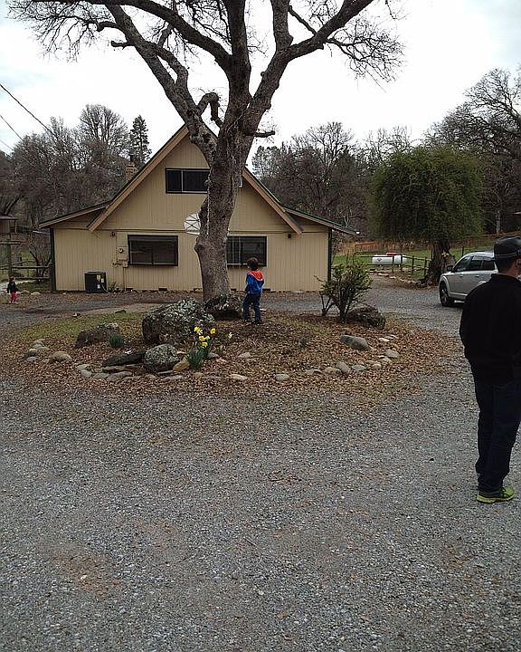Roundabout driveway view