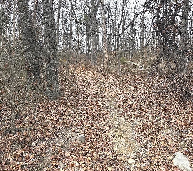 2nd image of Pcl 19 Section 9 Dehaven Rd