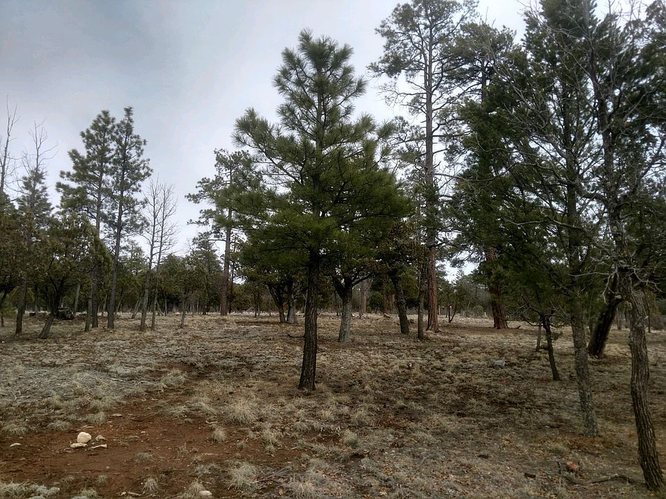 2nd image of 5556 Datil Cir