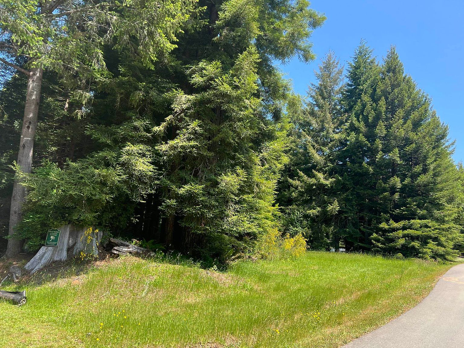 66 Bell Hole Loop, Crescent City, CA 95531 Zillow