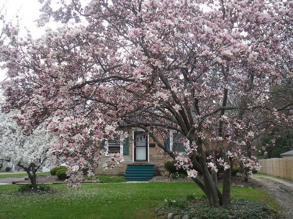 2nd image of 618 Prospect St