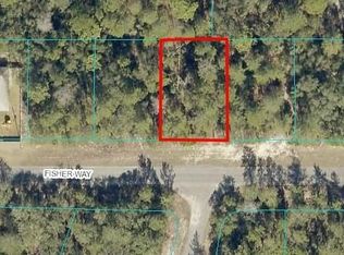 0 Fisher Way #4, Ocklawaha, FL 32179