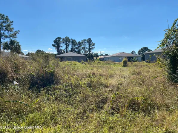 334 Silver Frost St SE, Palm Bay, FL 32909