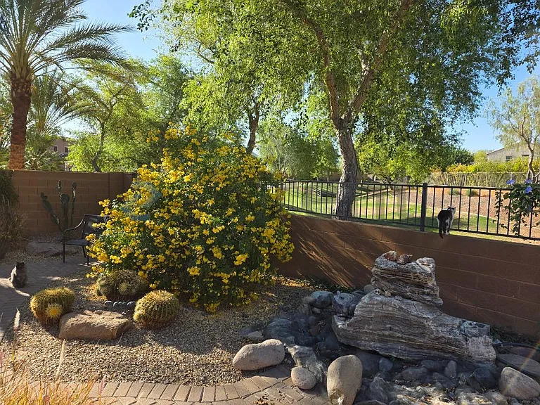 26001 W Tonopah Dr — Photo 35