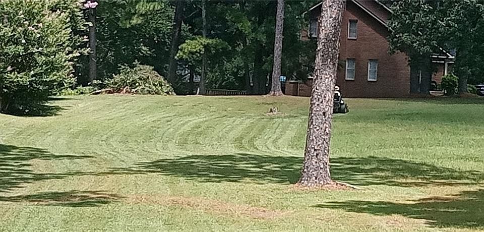 1st image of 207 Timberland Dr #11