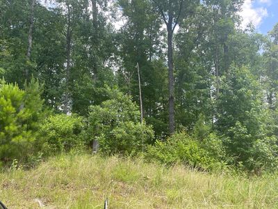 61 Boxwood Ct, Midland, GA, 31820