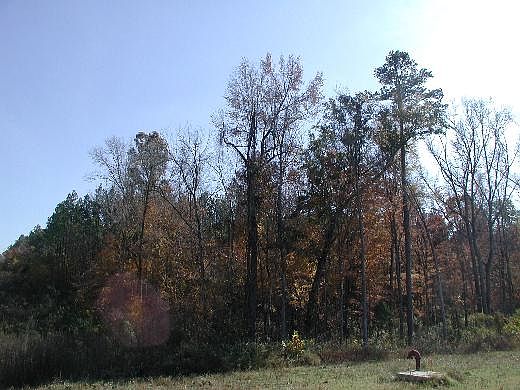 2nd image of Hands Mill Highway