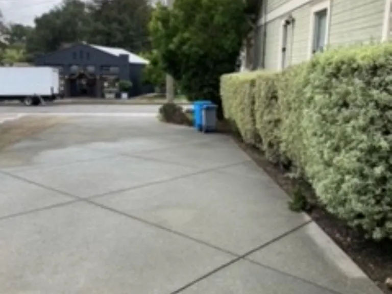 314 Bodega Ave — Photo 21