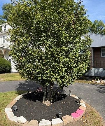 4th image of 186 Pearl St