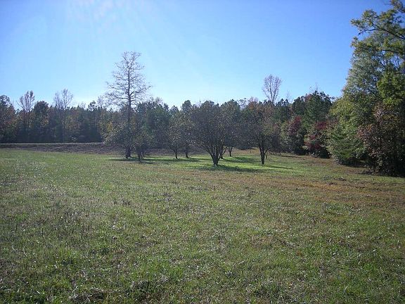 open space with fruit orchard
