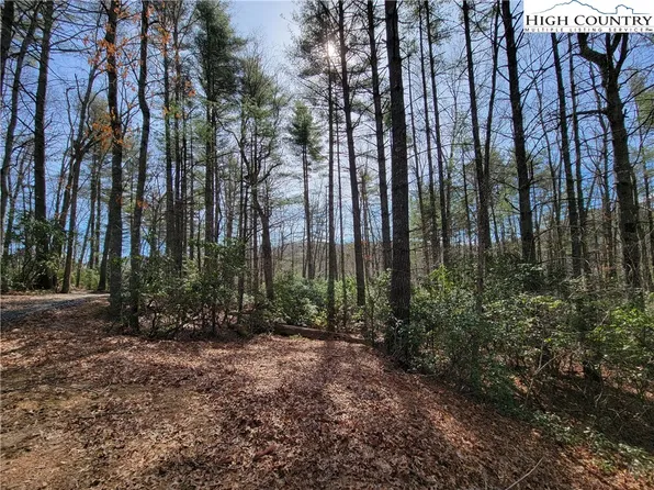 TBD Eagle Drive, Fleetwood, NC 28626