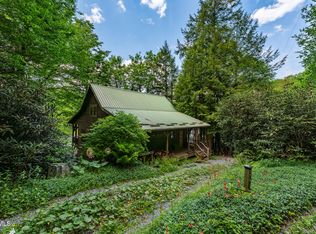 170 Ripshin Lake Rd, Roan Mountain, TN 37687
