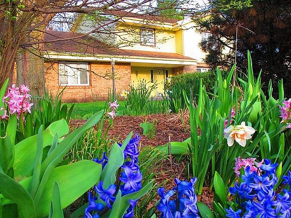 Front - With Spring Flowers
