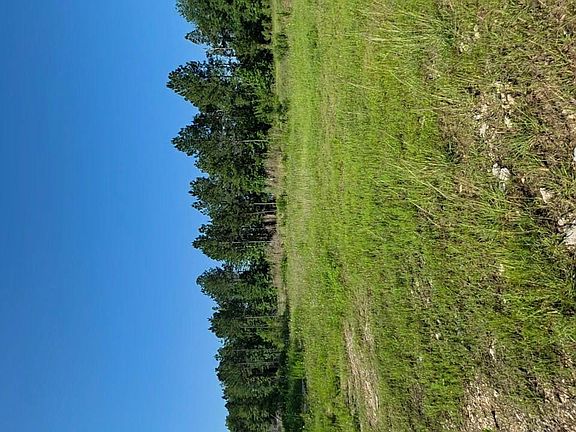 4th image of 1052 Road 5260