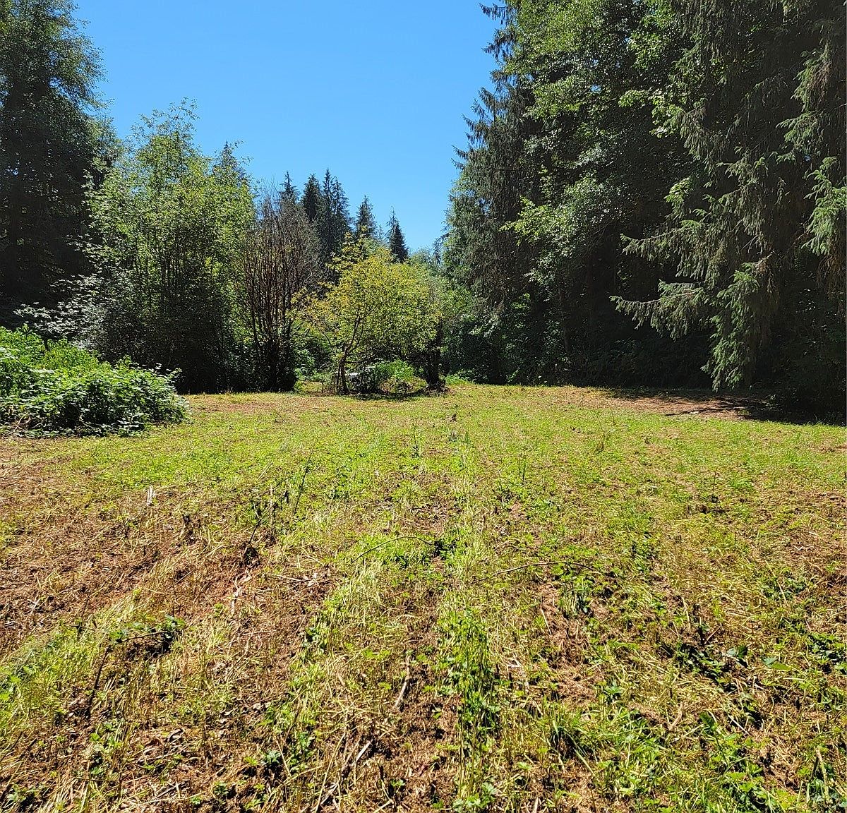 0 Hull Creek Road, Grays River, WA 98621 MLS 1977374 Zillow