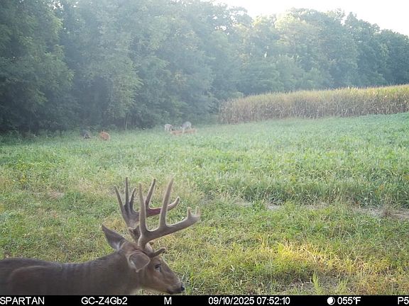 4th image of 0 N County Road 2900