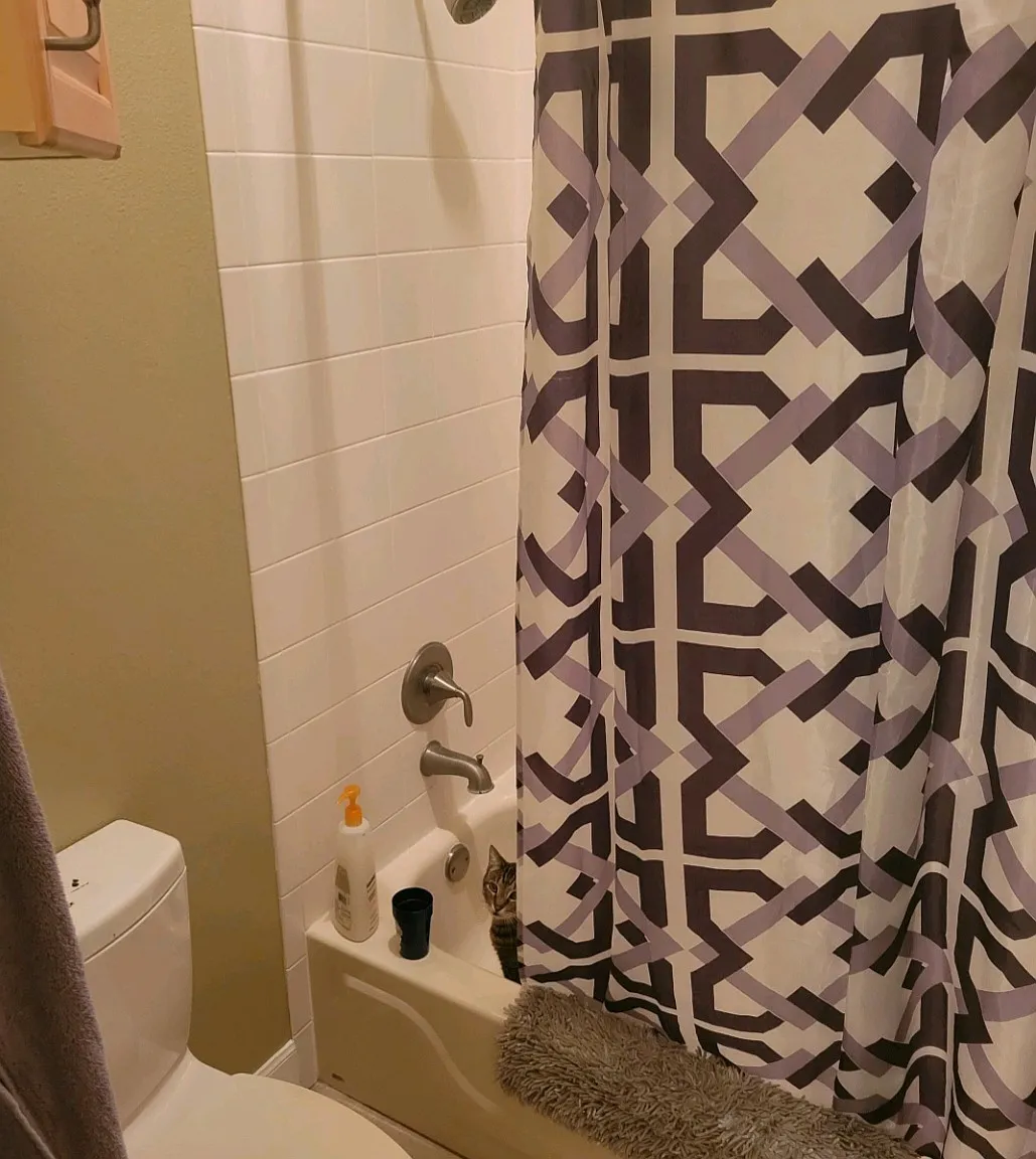 4 bed, 2795 sqft, $1,000 — Photo 3