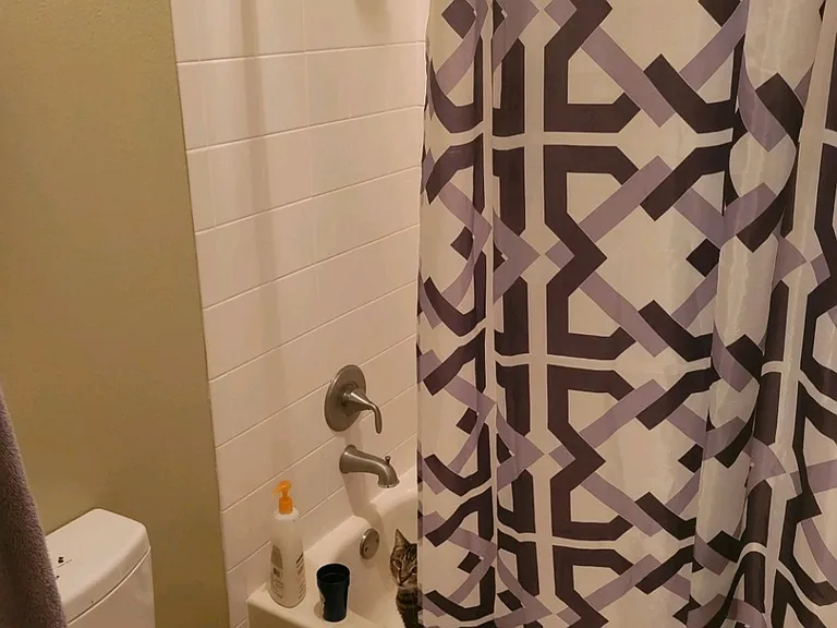 372 Twelve Oaks Dr — Photo 3