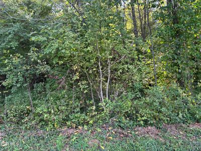 LOT 2 Hillside Dr, Elizabethton, TN, 37643