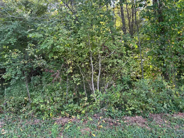 LOT 2 Hillside Dr, Elizabethton, TN 37643