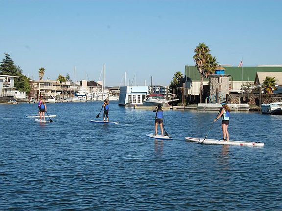 Paddleboard anyone?