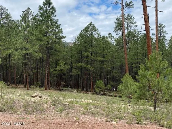 15 County Road 2083, Alpine, AZ 85920