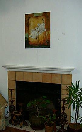 3rd image of 10415 Shayna Dr