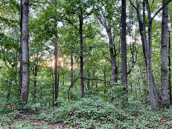 Off Hwy #136, Talking Rock, GA 30175