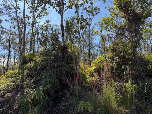 Anuhea St Lot 2074, Volcano, HI 96785