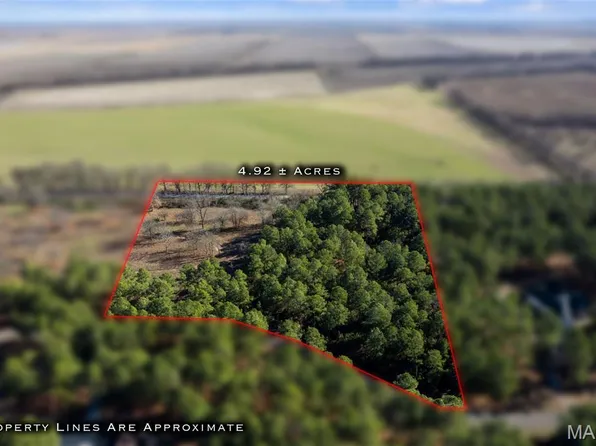 27 Ridgeway Cir, Benton, MO 63736