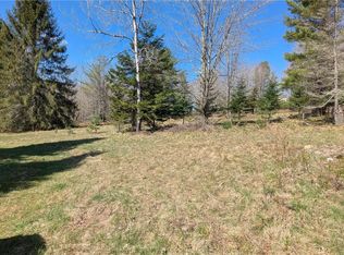 156 Akita Rd, Jefferson, NY 12093