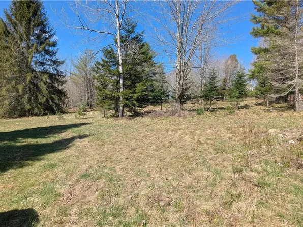 156 Akita Rd, Jefferson, NY 12093