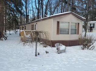 1133 Yeomans St LOT 17, Ionia, MI 48846