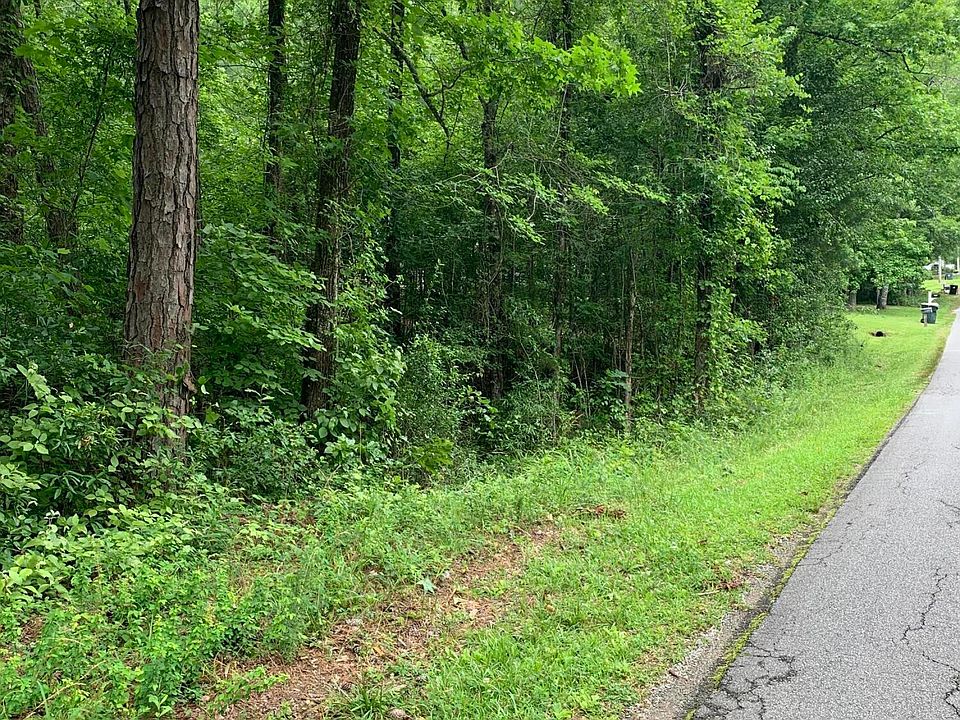 2nd image of 36 Cotton Ln