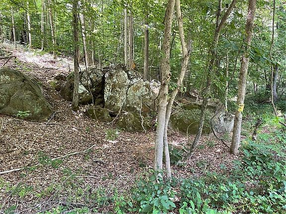 3rd image of 2469 Routh Rd