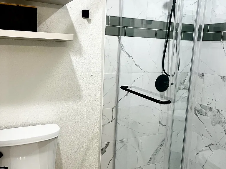 Master bath toilet and shower