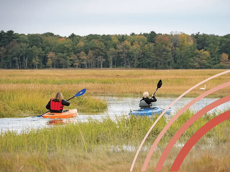 Paddle It Up In Scarborough